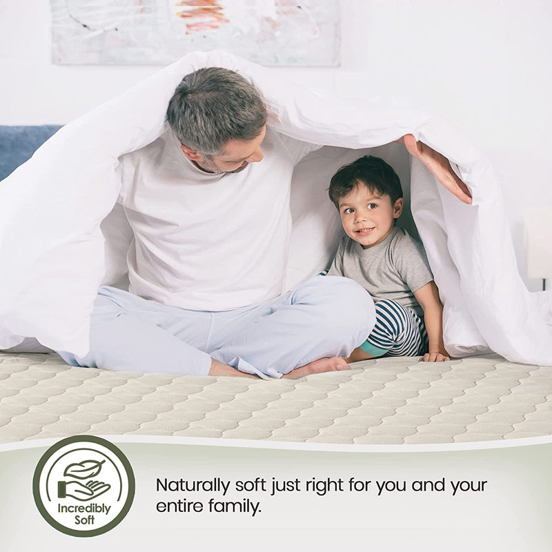 Whisper Organics Fitted Mattress Protector & Reviews Wayfair